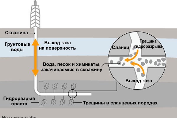 Кракен как войти через тор