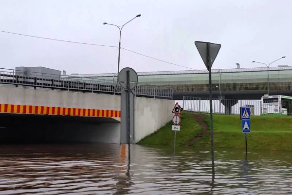 Знают ли власти про маркетплейс кракен