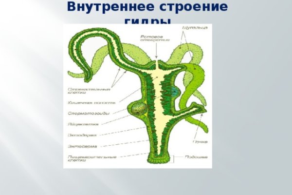 Нарко сайт кракен